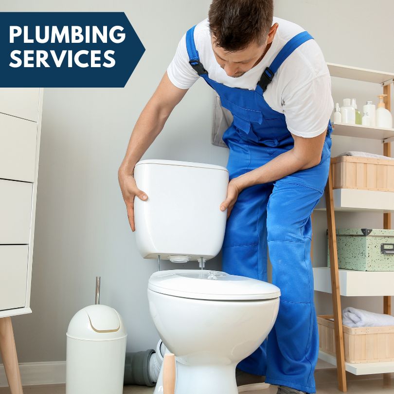Plumbing Company in Metamora, MI